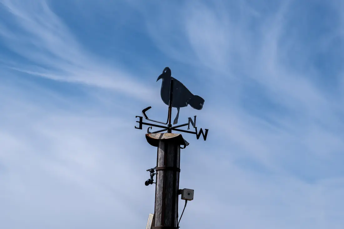 A weathervane with a bird silhouette against a blue sky