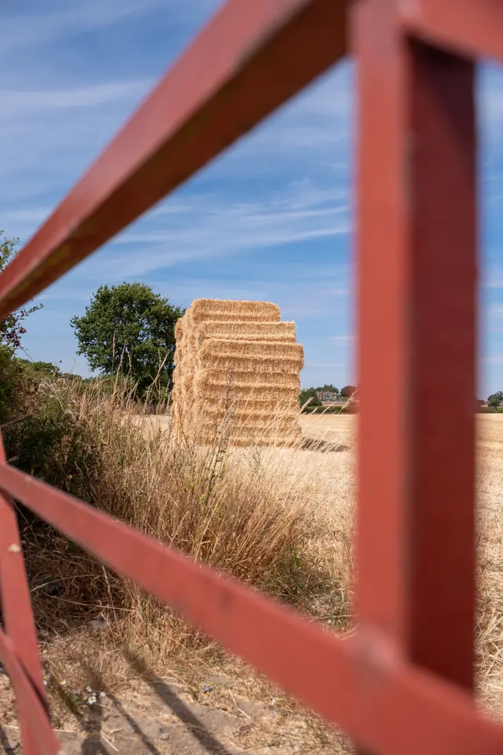 Stacked straw bales in a field, framed through a red farm gate